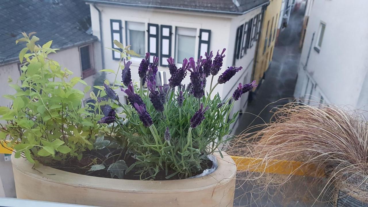 Vila Haus Alfina Exteriér fotografie